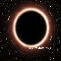 The Black (And White) Holes logo