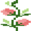 pinkrose logo