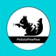 PisoloPewPack logo
