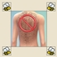 No Random Back Hair logo