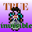 True Invisibility logo