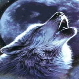 Official WolfyJrGamings Modpack logo