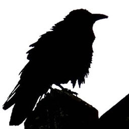 RavennaCraft logo