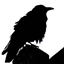 RavennaCraft logo