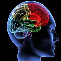 Mind Stopper project image