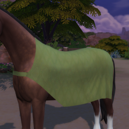 [SWH] Horse Coats