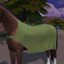 [SWH] Horse Coats logo