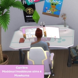 Carrière Moddeur/Moddeuse sims 4 (FR)