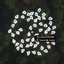 Grow More Berry Bush logo