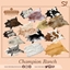 Champion Ranch 3 - Rugs 🐮 logo