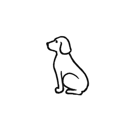 Doggy Dog's Wonderful World of Exploration