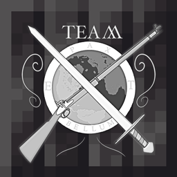 T.E.A.M. project image