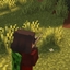 TaCZ: Leawind's Third Person Compat logo