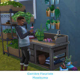 Carrière Fleuriste (FR)