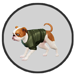 Doggo Plaid Sweaters 2