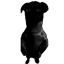 Medij mobs and more logo