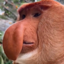 Proboscis Monkey Villager logo