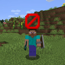 Hide Player Nametags logo