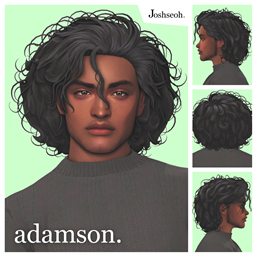 Adamson Hair logo