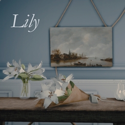 set Lily