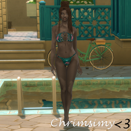 Front Tied Swimsuit logo