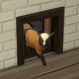 Mini Goats/Sheep Can Use Pet Doors project image