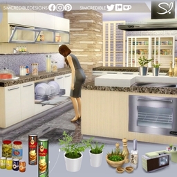Form & Function Kitchen 🎛️