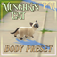[PW] Munchkin Cat Preset logo