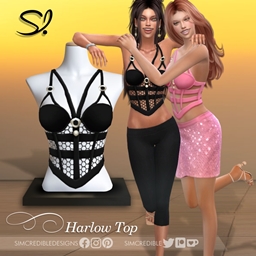 Harlow Top - Lace 💗 project image
