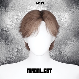 [Maoni_cat]HAIR No.17 logo