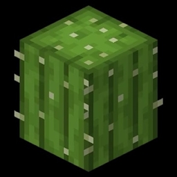 Cactus SMP