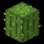Cactus SMP logo
