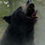 Bears bears bears 2 logo