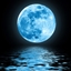 Midnight Wandering SMP logo