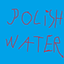 The Best Polish Water logo