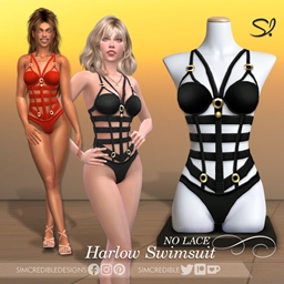 Harlow Swimsuit - No lace 💕 project image