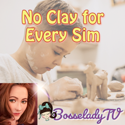 No Clay for Every Sim project image