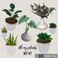 Oh my plants - set logo