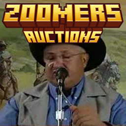 Zoomers Auctions project image