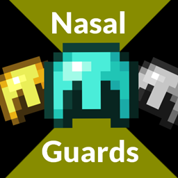 Accurate Helmets