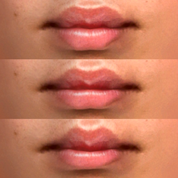 Mouth Presets Pack N3
