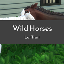 Wild Horses Lot Trait de SimplifiedModding en français