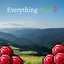 Everything Mod 2 logo