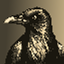 KARASU logo