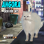 Angora skin by Jochi