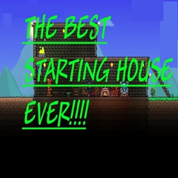 Best Starting House