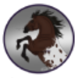 Pixelcraft Equestrian project image