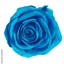 The Cerulean Order Fabric logo