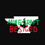 Besiged: a Tale of Ruin logo