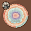 Pastel Fluffy Round Dance Rug #24 Samtuse963 logo
